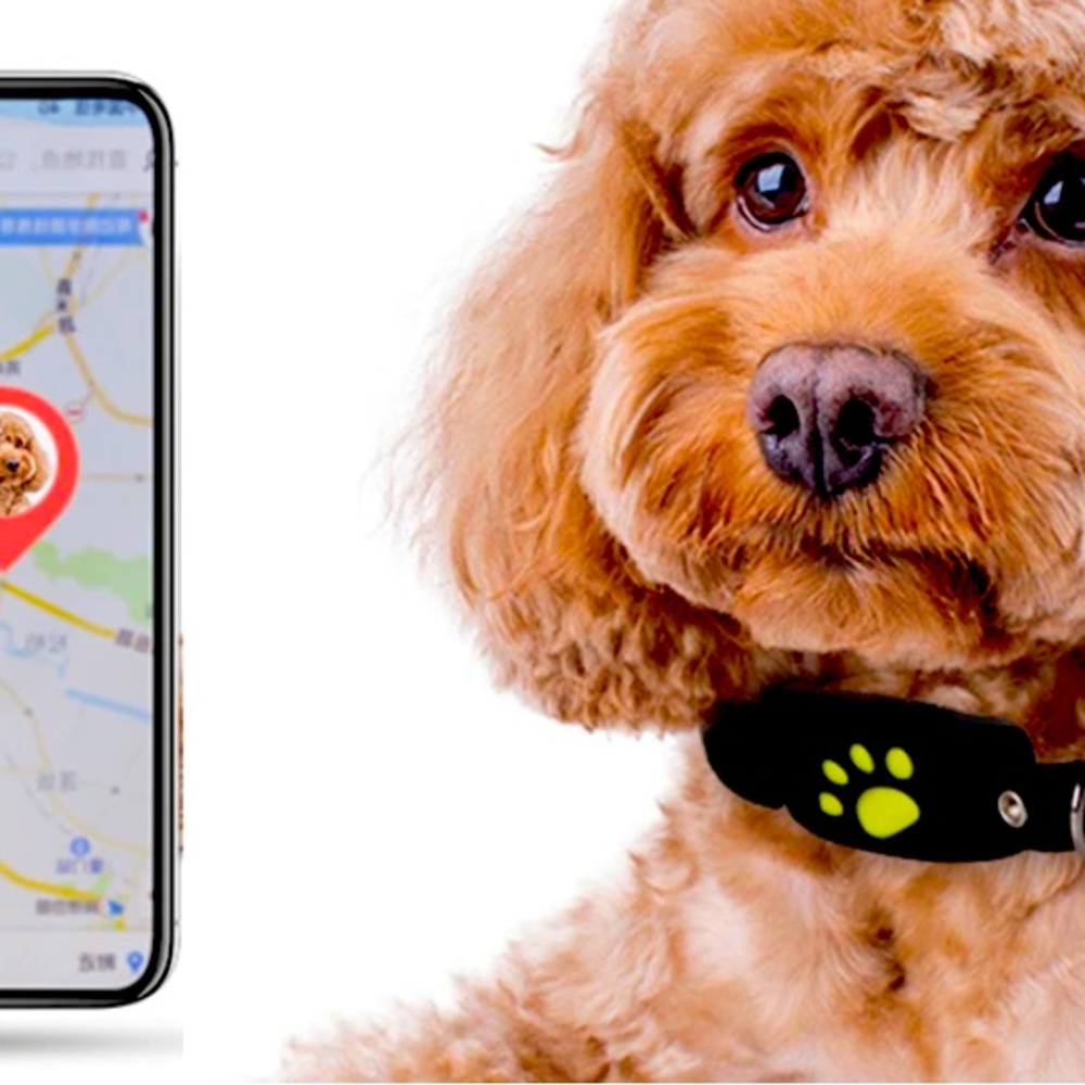 🗺 🐕 🗺…. 🐾Pet Tracker x Safety Vibes🐾…🐕🗺🐕